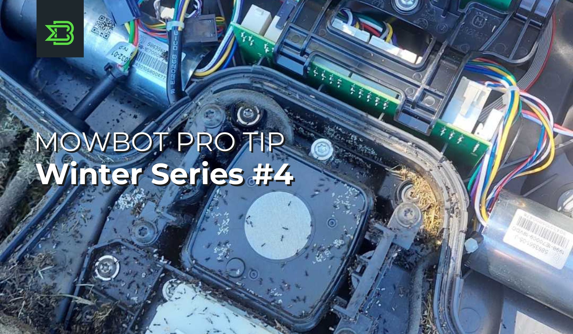 Winter Tip #4: Keeping Your Robotic Mower and Charging Station Clean & Bug-Free