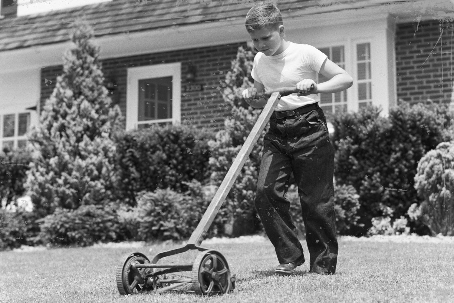 1950 push mower. Traditional Lawn Mowers vs. Robotic Mowers: Which is Right for You?